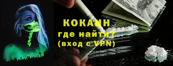 PSILOCYBIN Осинники