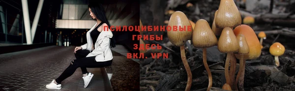 mix Баксан