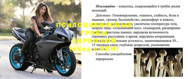 ПСИЛОЦИБИНОВЫЕ ГРИБЫ Балахна