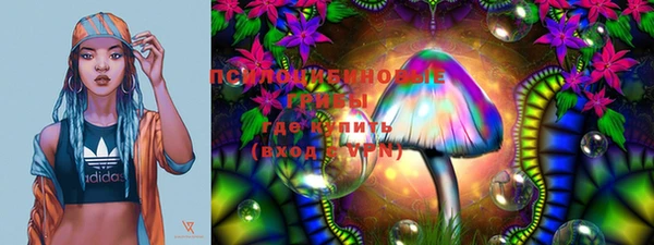 PSILOCYBIN Осинники