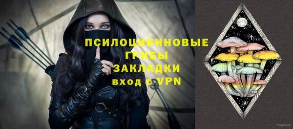 ПСИЛОЦИБИНОВЫЕ ГРИБЫ Балахна