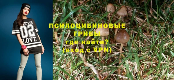 ПСИЛОЦИБИНОВЫЕ ГРИБЫ Балахна
