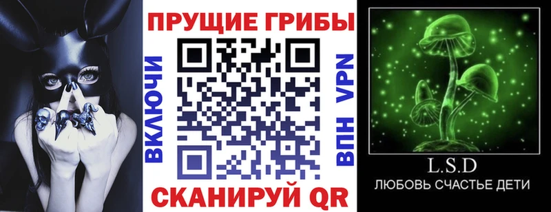 KRAKEN вход  Сенгилей  Псилоцибиновые грибы MAGIC MUSHROOMS 