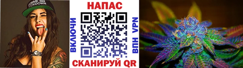 Канабис планчик  Сенгилей 